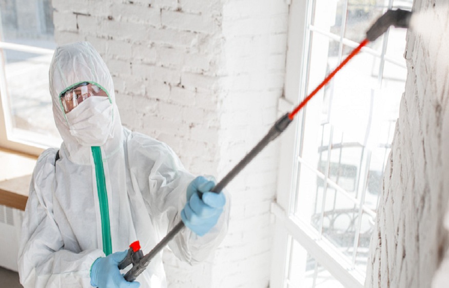 Mold Removal in Boise